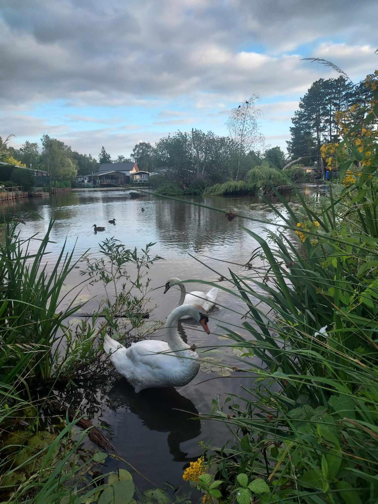 Rustig Gelegen Chalet Solvo Met Terras Aan Het Water Geel Exteriör bild