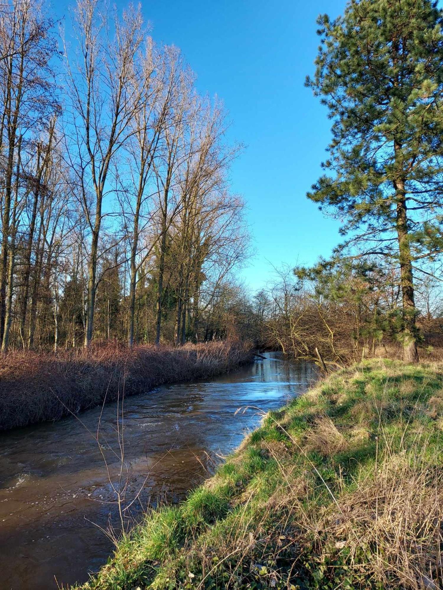 Rustig Gelegen Chalet Solvo Met Terras Aan Het Water Geel Exteriör bild